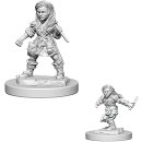 D&D Nolzur`s Marvelous Miniatures: Halfling Wizards