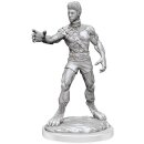 D&D Nolzur`s Marvelous Miniatures: Headless Monster