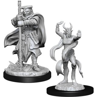 D&D Nolzur`s Marvelous Miniatures: Hobgoblin Devastator & Hobgoblin Iron
