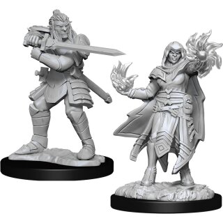 D&D Nolzur`s Marvelous Miniatures: Hobgoblin Fighter Male & Hobgoblin Wi