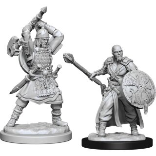 D&D Nolzur`s Marvelous Miniatures: Human Barbarian Male