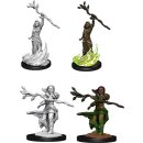 D&D Nolzur`s Marvelous Miniatures: Human Druid Female