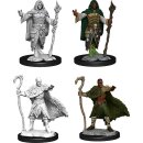 D&D Nolzur`s Marvelous Miniatures: Human Druid Male