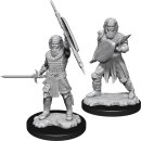 D&D Nolzur`s Marvelous Miniatures: Human Fighter Male