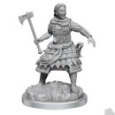 D&D Nolzur`s Marvelous Miniatures: Human Fighters