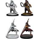 D&D Nolzur`s Marvelous Miniatures: Human Monk Female