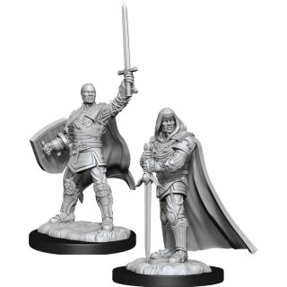 D&D Nolzur`s Marvelous Miniatures: Human Paladin Male