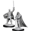 D&D Nolzur`s Marvelous Miniatures: Human Paladin Male