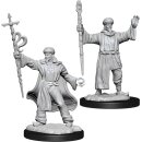 D&D Nolzur`s Marvelous Miniatures: Human Wizard Male