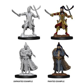 D&D Nolzur`s Marvelous Miniatures: Male Elf Paladin