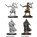 D&D Nolzur`s Marvelous Miniatures: Male Elf Paladin
