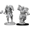 D&D Nolzur`s Marvelous Miniatures: Male Goliath Fighter