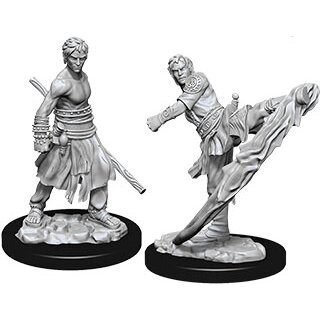 D&D Nolzur`s Marvelous Miniatures: Male Half-Elf Monk