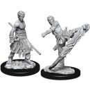D&D Nolzur`s Marvelous Miniatures: Male Half-Elf Monk
