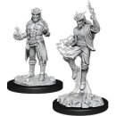 D&D Nolzur`s Marvelous Miniatures: Male Tiefling...