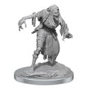 D&D Nolzur`s Marvelous Miniatures: Nosferatu
