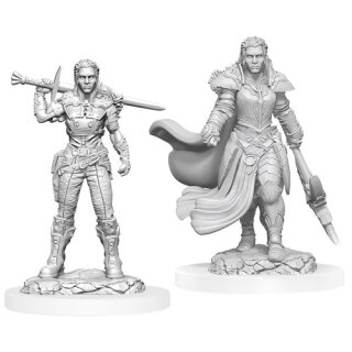 D&D Nolzur`s Marvelous Miniatures: Orc Fighter Female