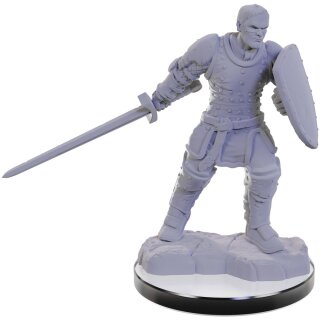 D&D Nolzur`s Marvelous Miniatures: Reborn Paladin & Warlock