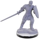 D&D Nolzur`s Marvelous Miniatures: Reborn Paladin...