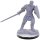 D&D Nolzur`s Marvelous Miniatures: Reborn Paladin & Warlock