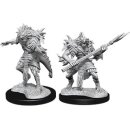 D&D Nolzur`s Marvelous Miniatures: Sahuagin