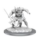 D&D Nolzur`s Marvelous Miniatures: Sahuagin Baron