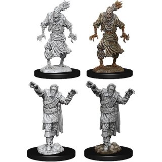 D&D Nolzur`s Marvelous Miniatures: Scarecrow & Stone Cursed