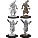 D&D Nolzur`s Marvelous Miniatures: Scarecrow &...