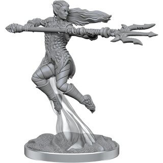 D&D Nolzur`s Marvelous Miniatures: Sea Elf Fighters