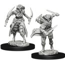 D&D Nolzur`s Marvelous Miniatures: Tiefling Female Rogue