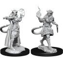 D&D Nolzur`s Marvelous Miniatures: Tiefling Sorcerer...