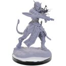 D&D Nolzur`s Marvelous Miniatures: Tiefling Warlocks