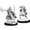 D&D Nolzur`s Marvelous Miniatures: Winter Eladrin...