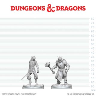 D&D Nolzur`s Marvelous Miniatures: Dragonborn Paladin & Dragonborn Squire