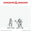 D&D Nolzur`s Marvelous Miniatures: Dragonborn Paladin...