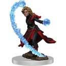 Pathfinder Battles: Premium Painted Figure W03 Female...