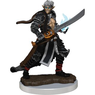 Pathfinder Battles: Premium Painted Figure W03 Male Elf Magus