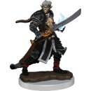 Pathfinder Battles: Premium Painted Figure W03 Male Elf...