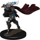 Pathfinder Battles: Premium Painted Figure W2 Half-Elf...