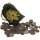 Botany Coin Set