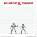 D&D Nolzur`s Marvelous Miniatures: Bandit & Pirate