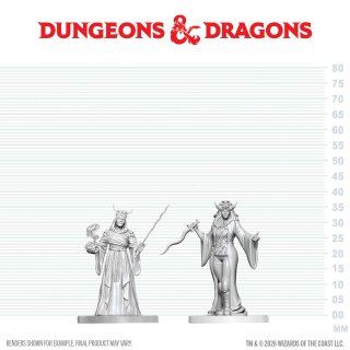 D&D Nolzur`s Marvelous Miniatures: Cultist Fanatic & Hierophant