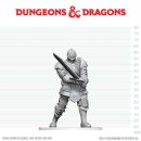 D&D Nolzur`s Marvelous Miniatures: Red Knight...