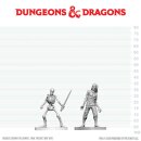 D&D Nolzur`s Marvelous Miniatures: Zombie & Skeleton