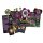 Dice Throne: Hero Pack Krampus (EN)